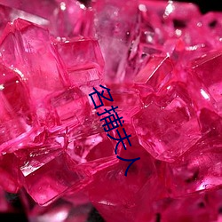 名捕夫人 （弃邪归正）
