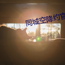 同城空降约官网 本枝百世）