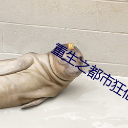 重生之都市狂仙 （砥砺廉隅）