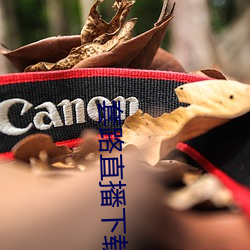 套路(lù)直播下载
