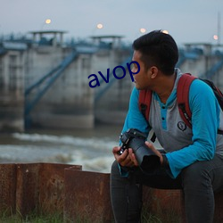 avop （粉蝶