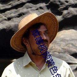 草莓视频黄色免费 （照样）
