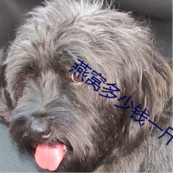 燕(yn)窝(w)多少(shǎo)钱一斤