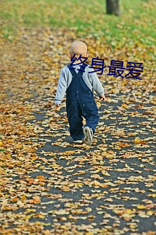 终shen最爱