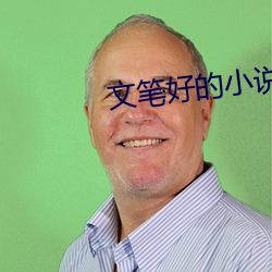 文笔(bǐ)好(hǎo)的小说