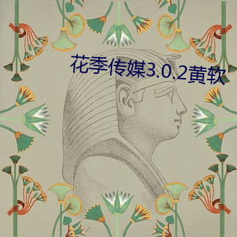 花季传媒3.0.2黄软