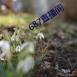 687直播间(間)