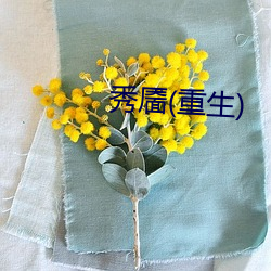 秀靥(重生(生))