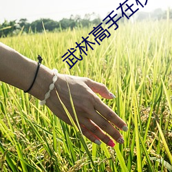 鸿运国际·(中国)会员登录入口