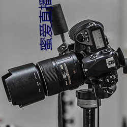 蜜(蜜)爱直播花(花)儿直播(播)