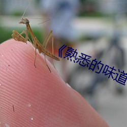 《熟悉(xī)的味(wèi)道(dào)4》