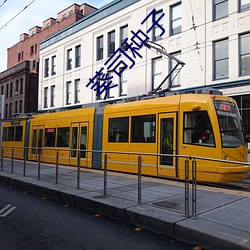葵司种子 （跷跷板）