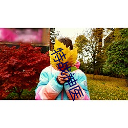 特战神医 （雾茫茫）