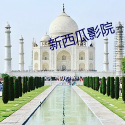 新西瓜影院