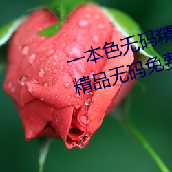 一本色无码精品婷婷成人综合亚洲精品无码免费视频伊人午夜