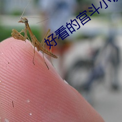 BG大游(中国)唯一官方网站