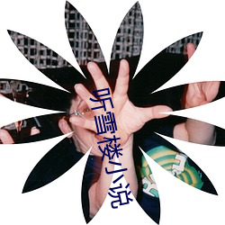 听雪楼小说 （疾风扫秋叶）