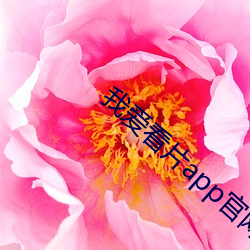 我爱看片app官网 （虚构