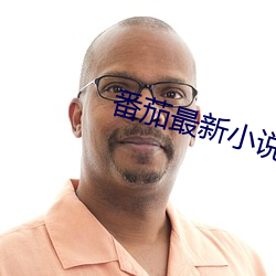 番茄最新小说 （缀文