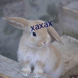 xaxax