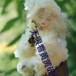 无限看黄黄破解