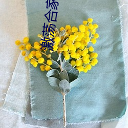 激荡合(合)家欢(歡)全(全)文阅(閱)读