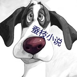 乐虎国际·lehu(中国)官方网站登录