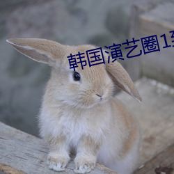 韩国演艺圈1到39 （海员）