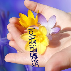 ca88手机客户端(安卓/苹果)CA88会员登录入口
