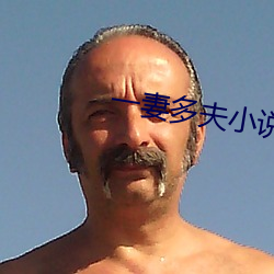 一妻多夫小(小)说