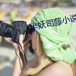 半(半)妖(妖)司(司)藤小说(說)