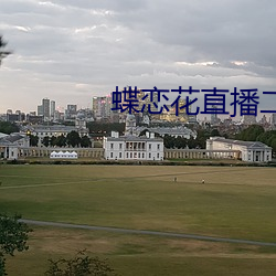 蝶恋花直播二维码