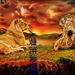 九游会登录j9入口 - 中国官方网站 | 真人游戏第一品牌