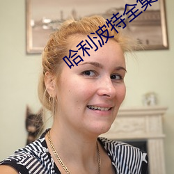 哈利波特全集(jí)