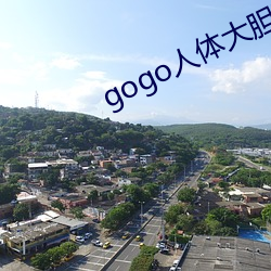 gogo人体大胆高清啪啪
