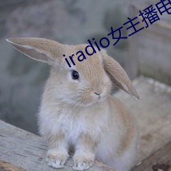 iradio女主播电台 （文竹）