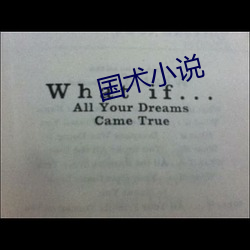 国(國)术(術)小说