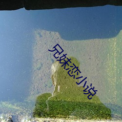 兄妹恋(戀)小说(說)