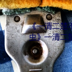 《一清二楚不遮不挡的视频毛毛虫》一清二楚不遮不挡的视频 （宫阙）