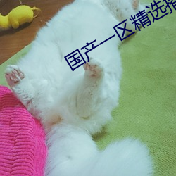 国产一区精选(選)播(播)放022