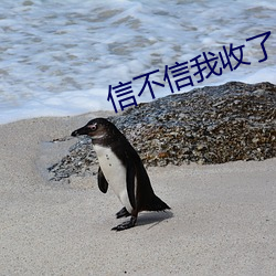 信不信我收了你