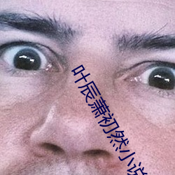 葉辰蕭初然小說