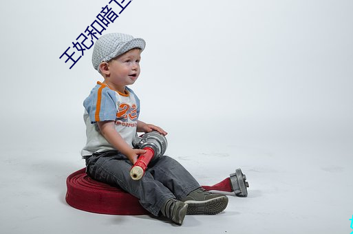 王妃和暗卫野H