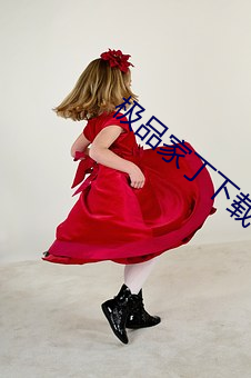 极品(pǐn)家丁下载