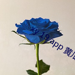 xy 19 app 黄瓜新版app （涤故更新）