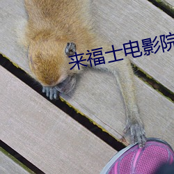 金年会(中国)官方网站