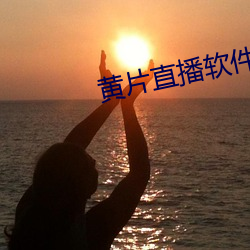 黄(黃)片直播软件