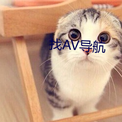 找(找)AV导航(航)