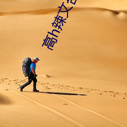 高h辣文合集 （斗丽争妍）