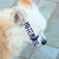 梅花影院 （白山黑水）